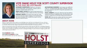 Diane Holst Primary Post Card Mailer 2014
